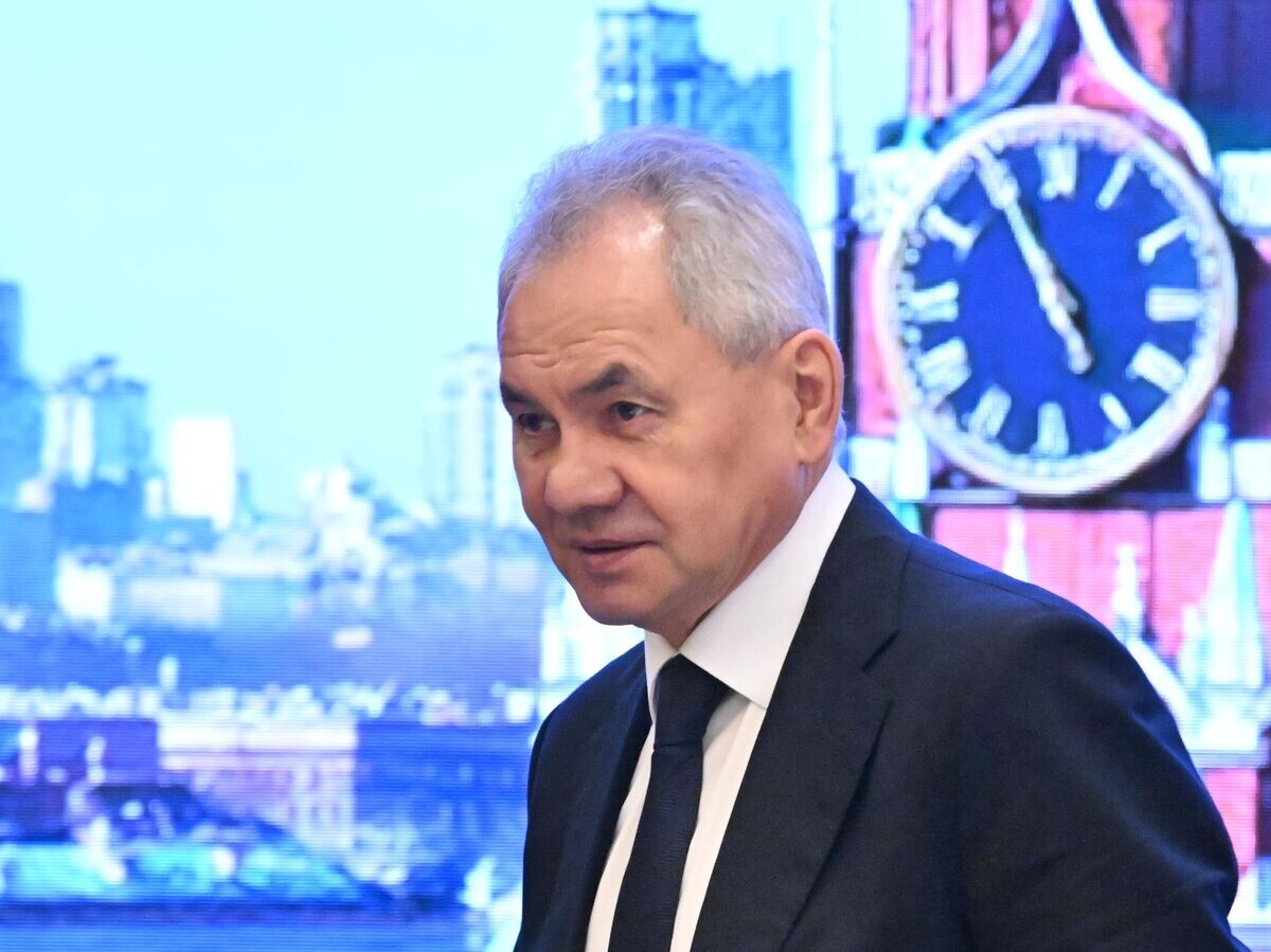    Секретарь Совета безопасности РФ Сергей Шойгу на заседании комитета секретарей советов безопасности ОДКБ в Москве | © РИА Новости / Станислав Красильников