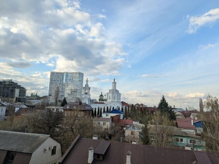     Фото: МК в Воронеже