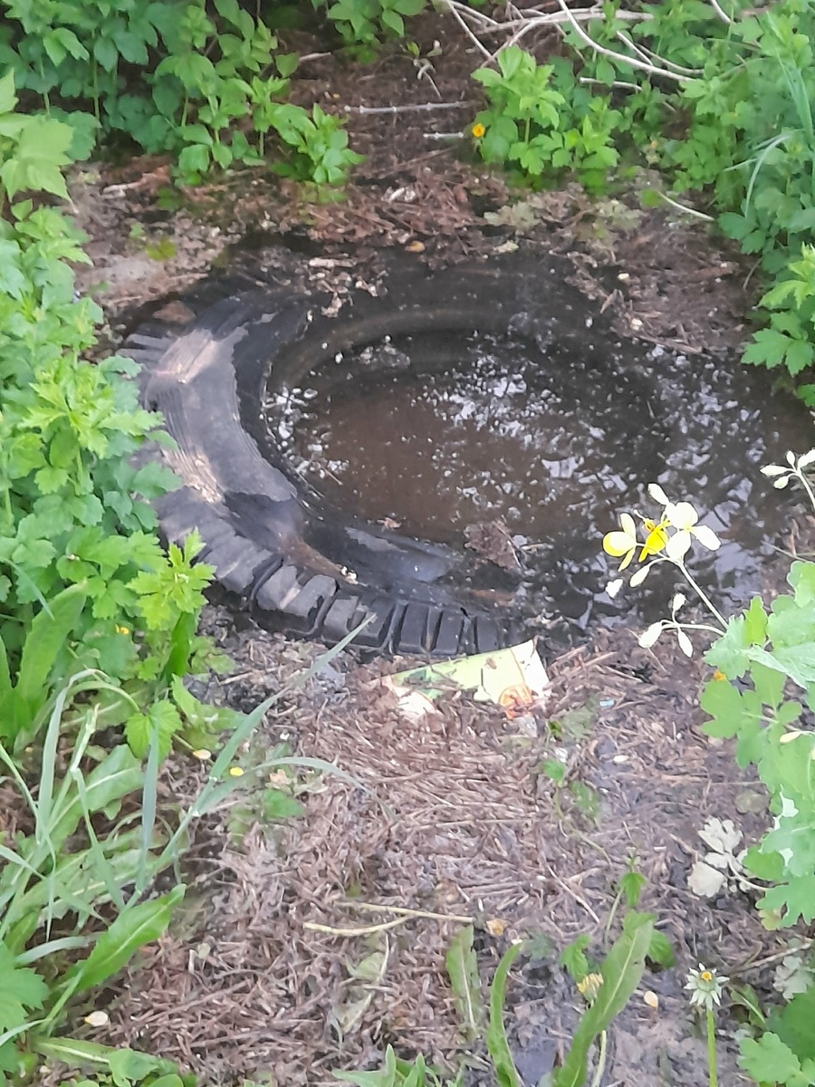 Люк колодца, придавленный шиной от грузовика, вокруг вода...