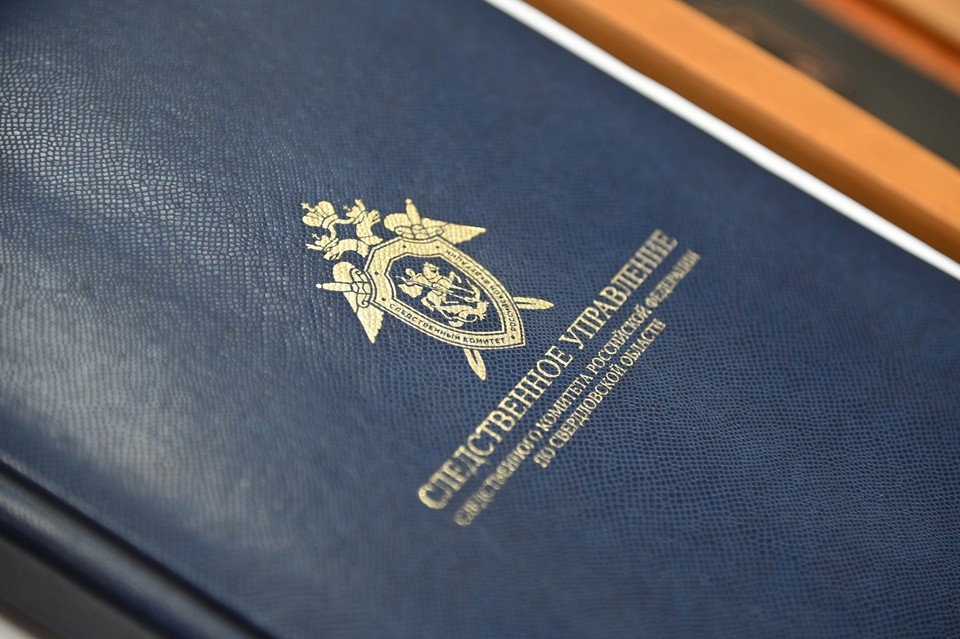    Фигурант находится под домашним арестом, следствие продолжается Ольга ЮШКОВА