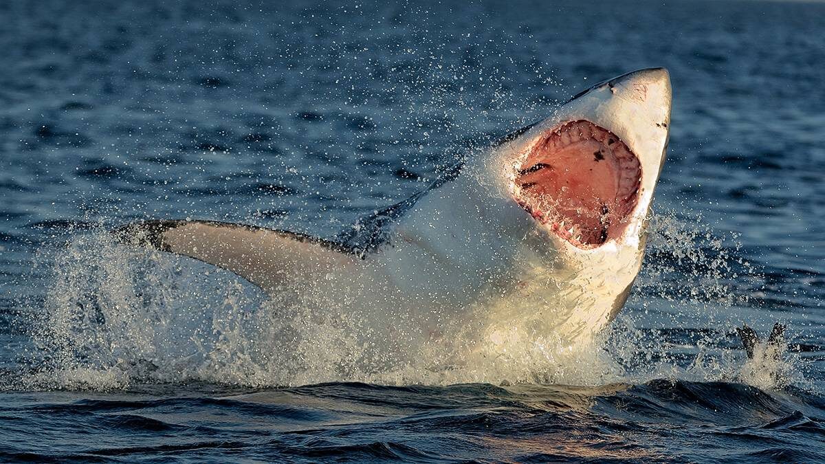    Фото: Shutterstock