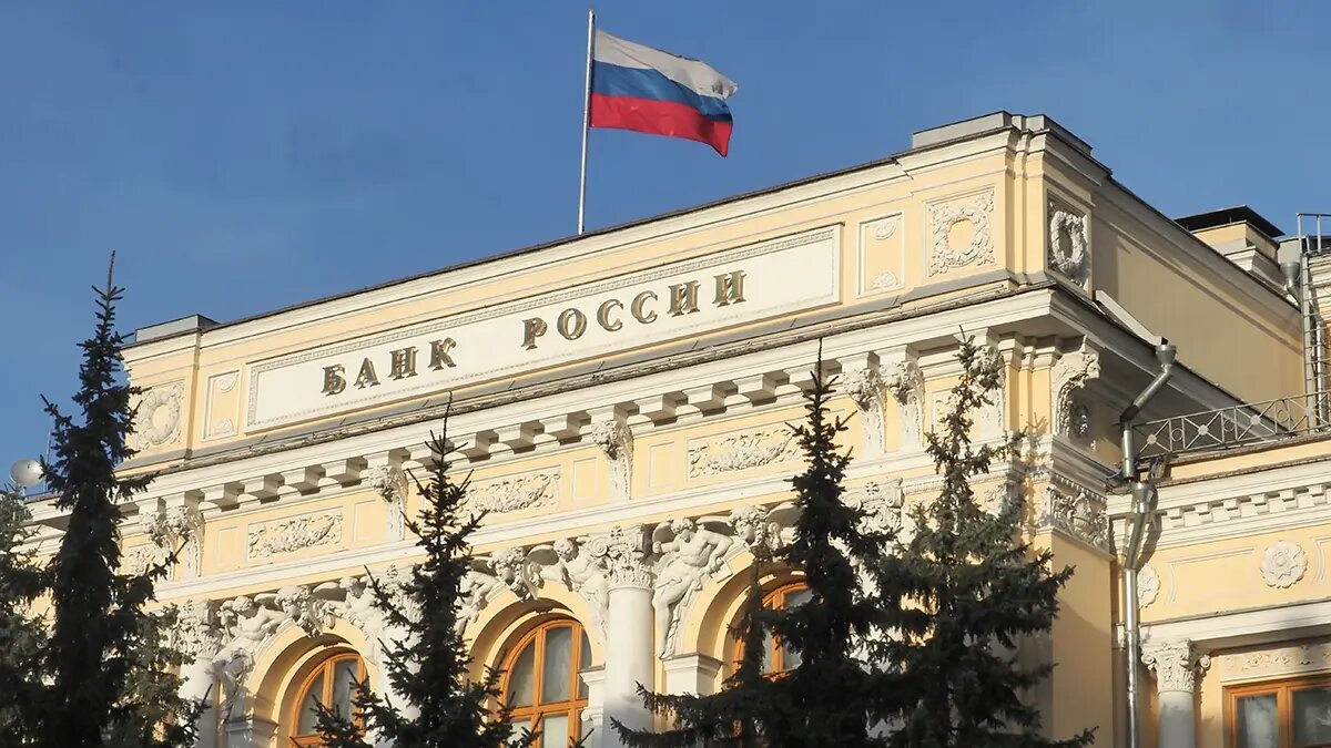    Источник: vm.ru/ Ярослава Мухина