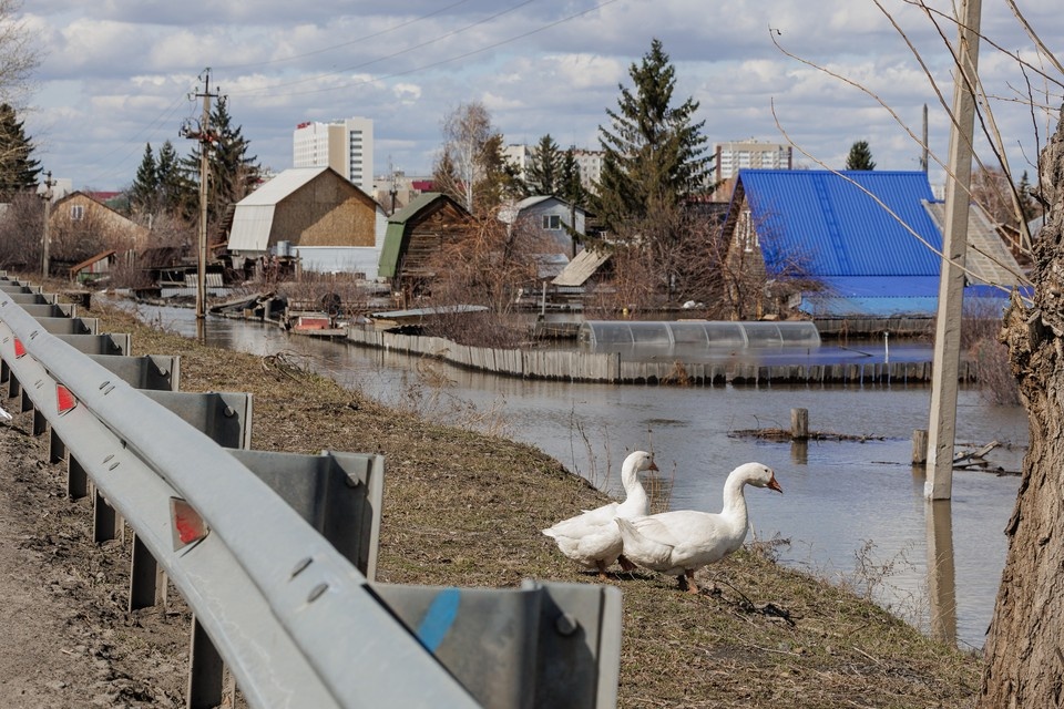    Паводковая ситуация в Нижегородской области стабилизировалась. Валерий ЗВОНАРЕВ