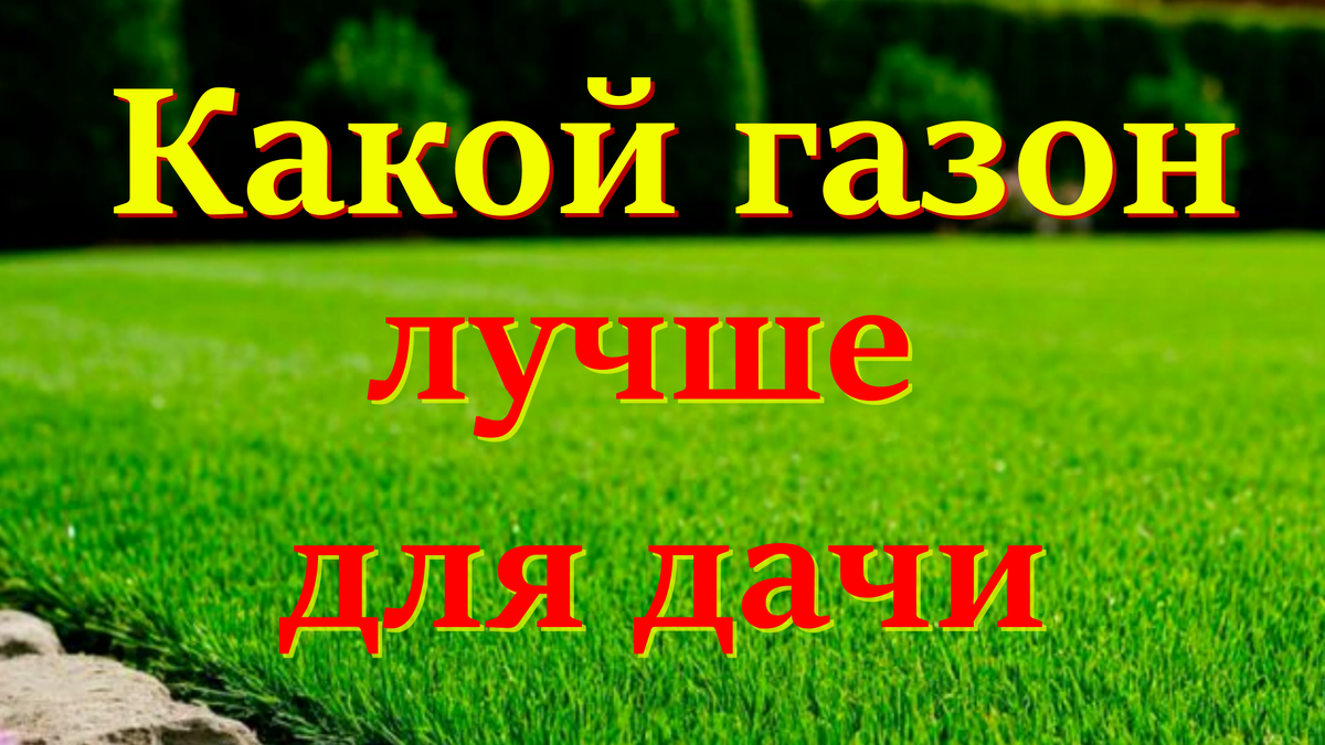 газон