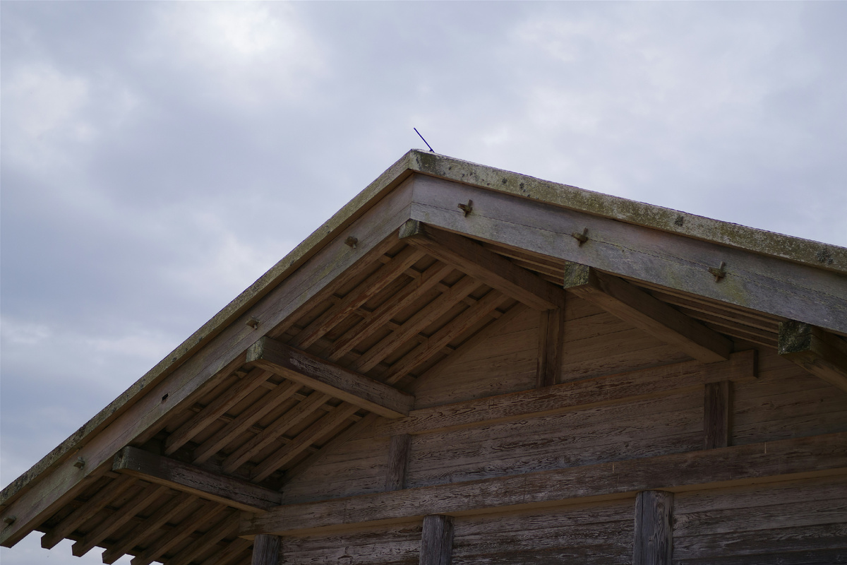Photo by Naoki Suzuki on Unsplash.