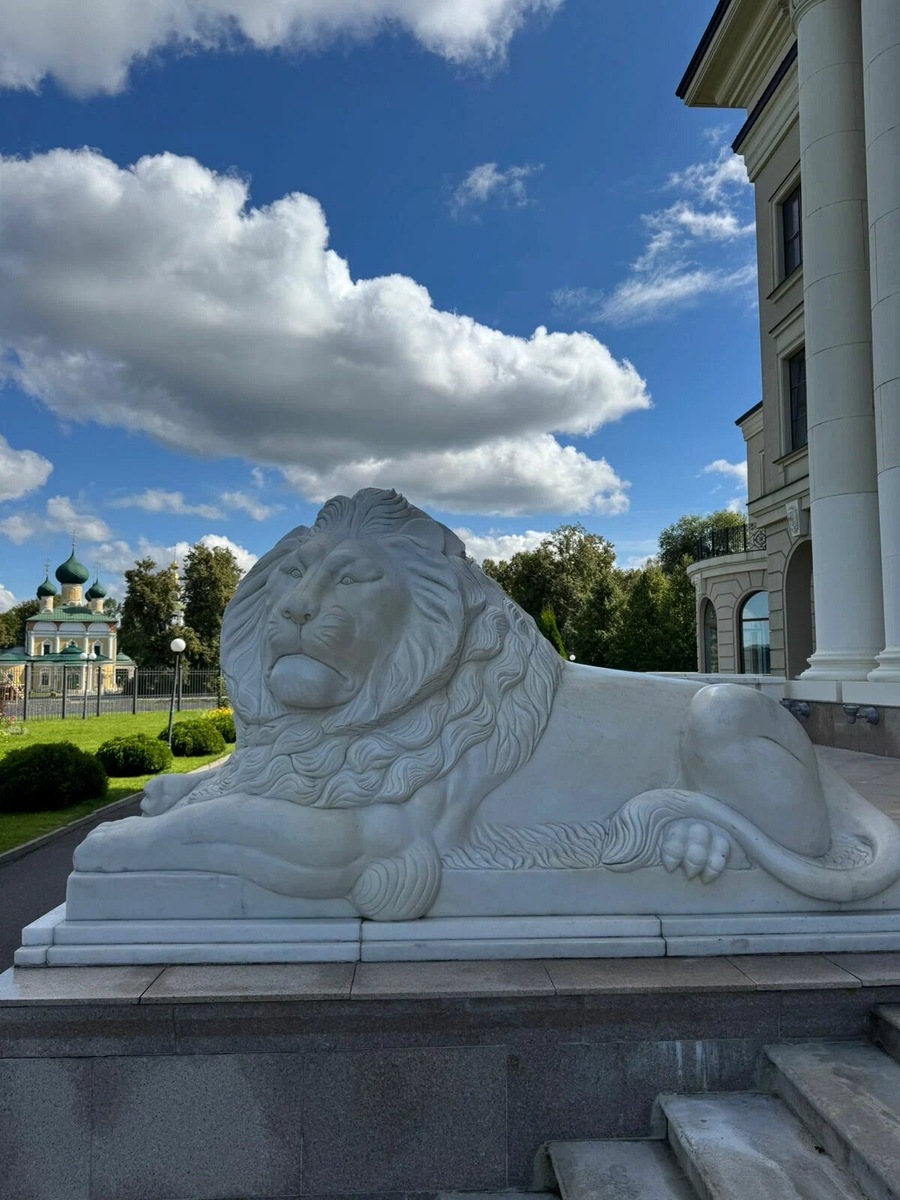 Комплекс дополняют открытая терраса, бассейн, ухоженная зелёная территория