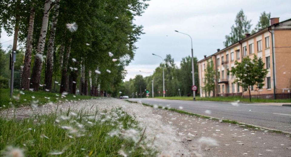    «Подмосковье сегодня»/Сгенерировано нейросетью