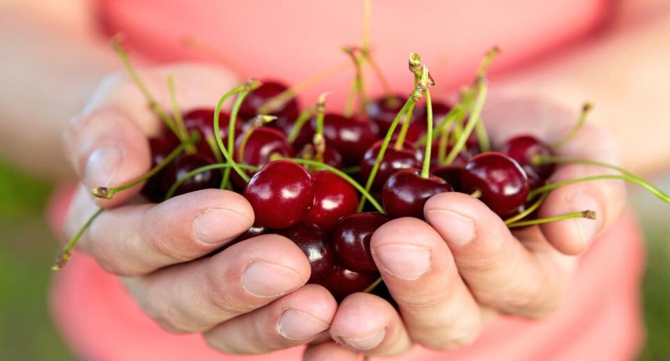    istockphoto.com/Rostislav_Sedlacek