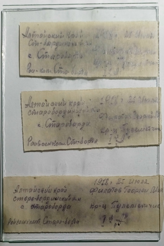 Записки из смертоного медальона. Источник: https://vk.com/club205843600?z=photo-205843600_457240334%2F57e56072dddcd5021e