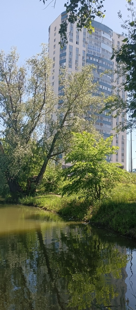 Фото  автора.