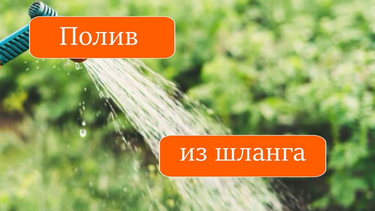 полив из шланга