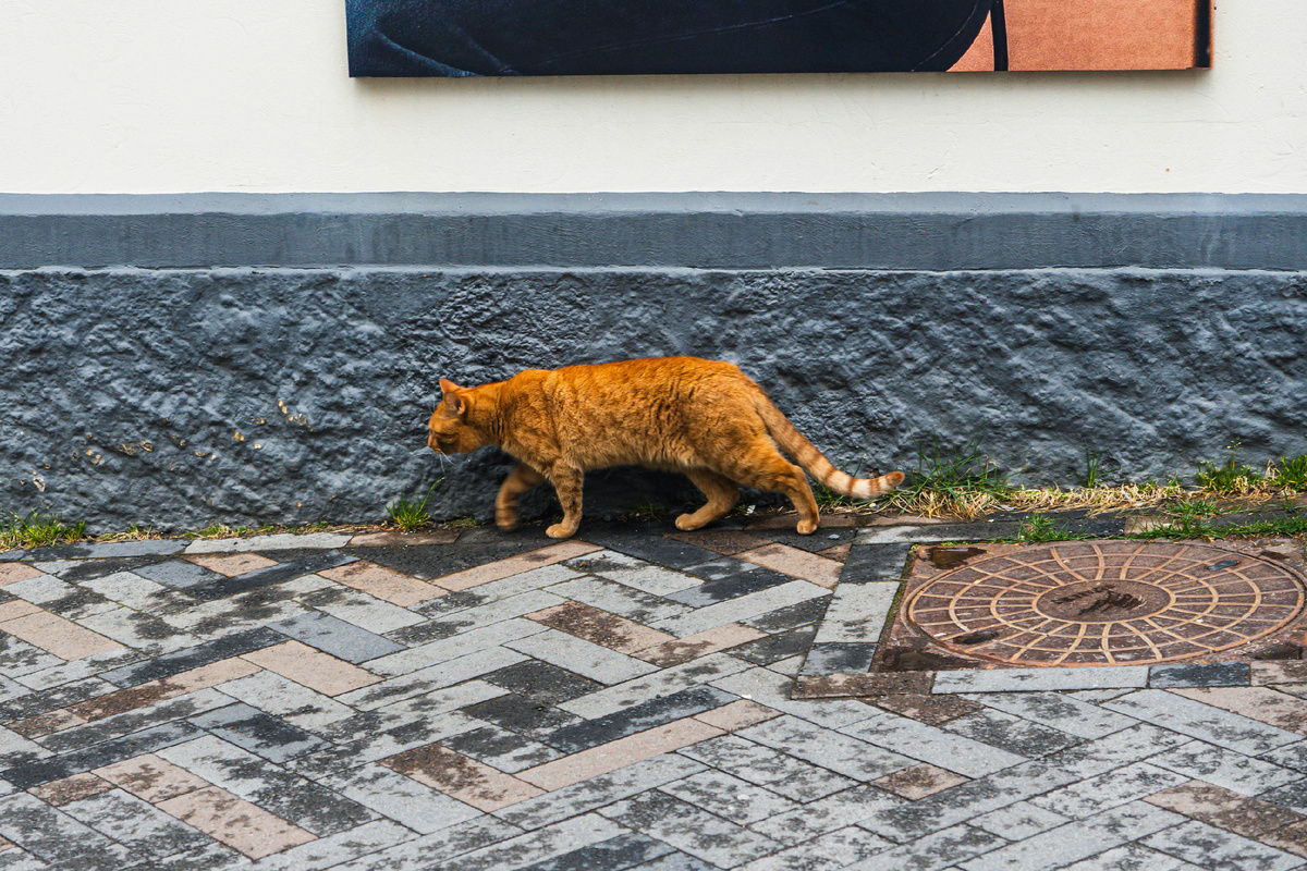 Автор фото Juliann Hervio на Unsplash