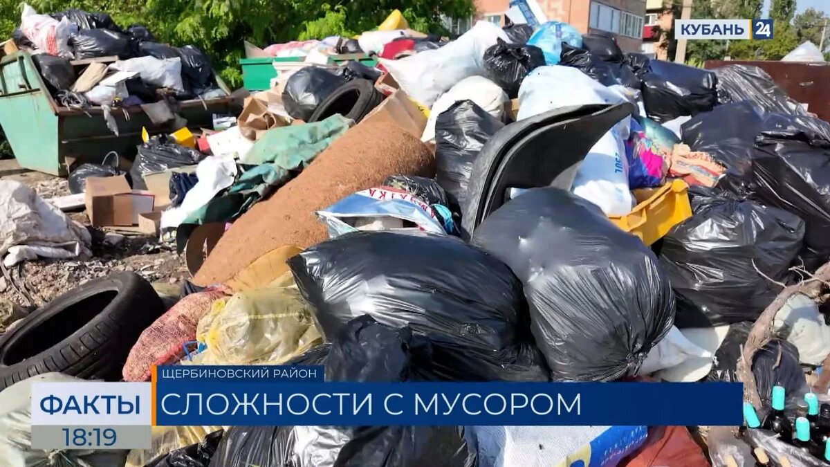    Скриншот видео телеканала «Кубань 24»
