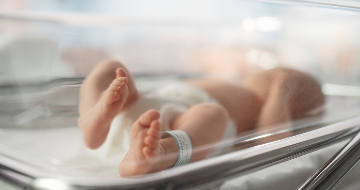    Фото: iStock/gorodenkoff