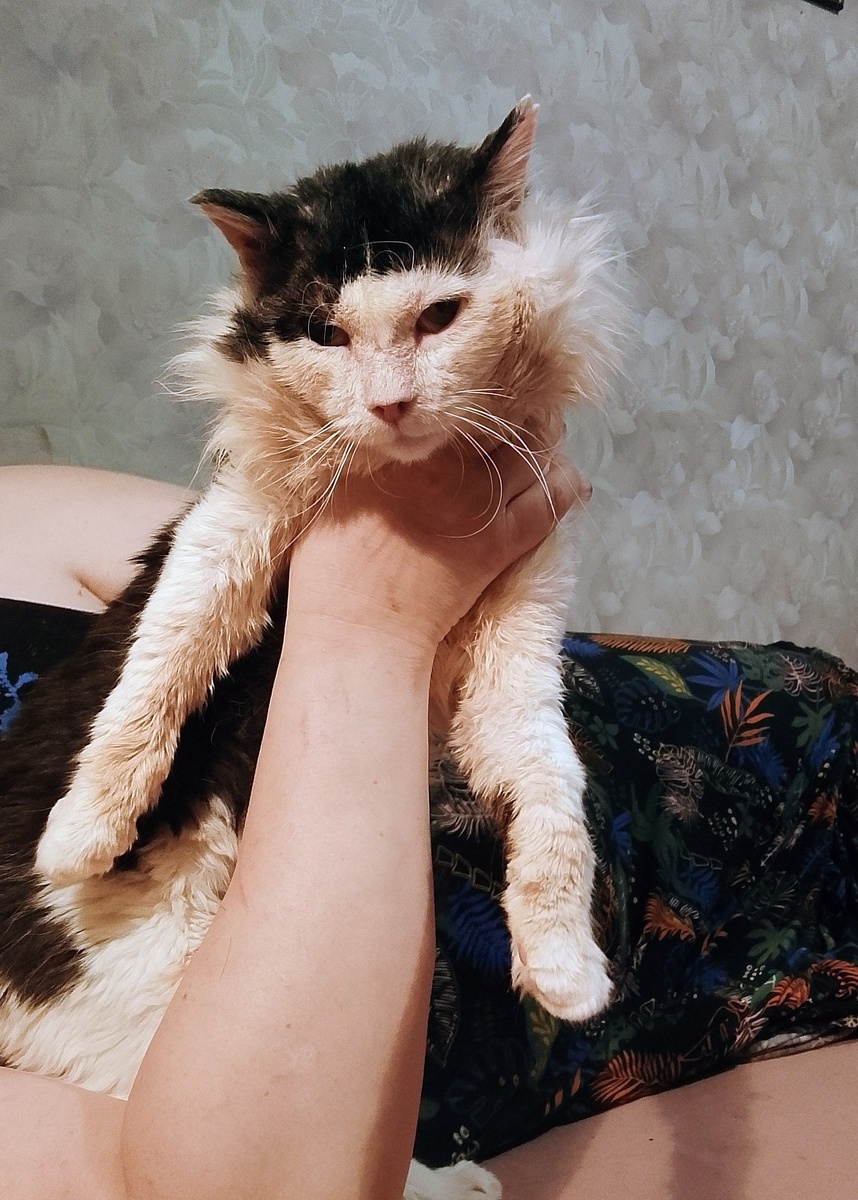 Он