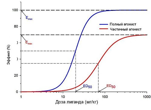 Кривая «доза-эффект» - картинка взята с https://ru.wikipedia.org/wiki/Кривая_доза-эффект
