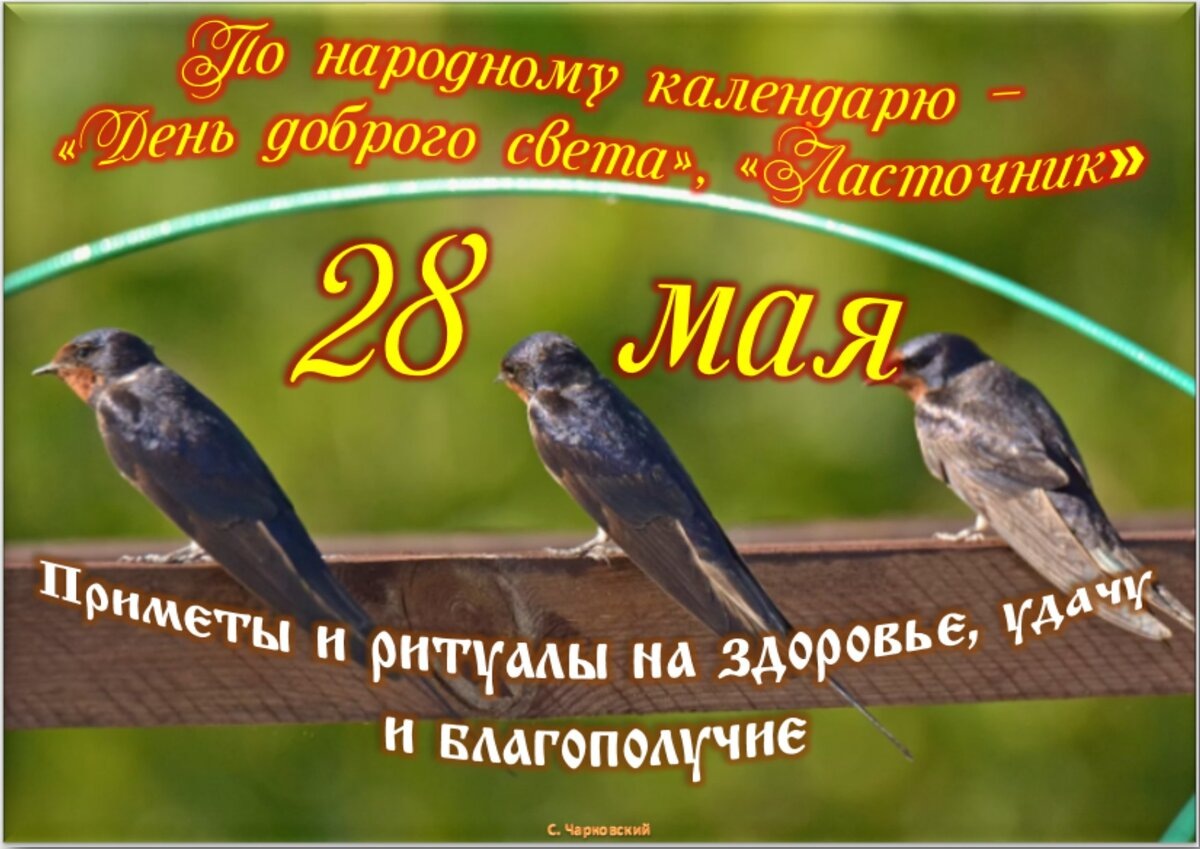 Встречаем новый день