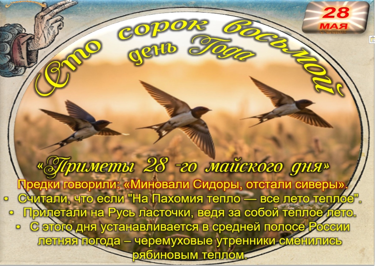 Встречаем новый день