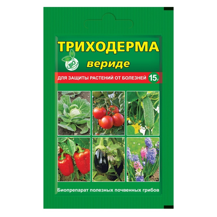 Фото из интернета.