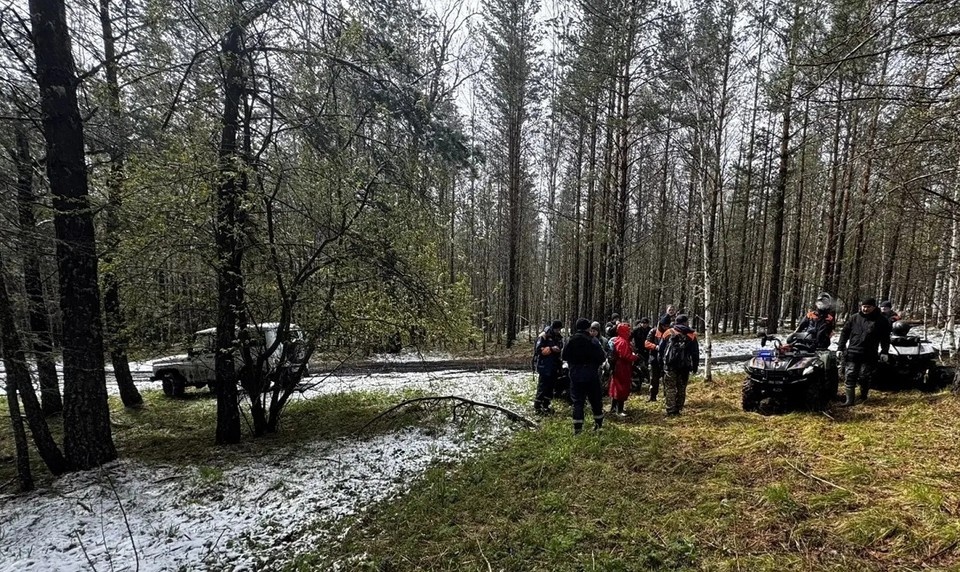    В крае спасатели обследовали непроходимые тропы в поисках семьи Усольцевых. КГКУ «Спасатель»