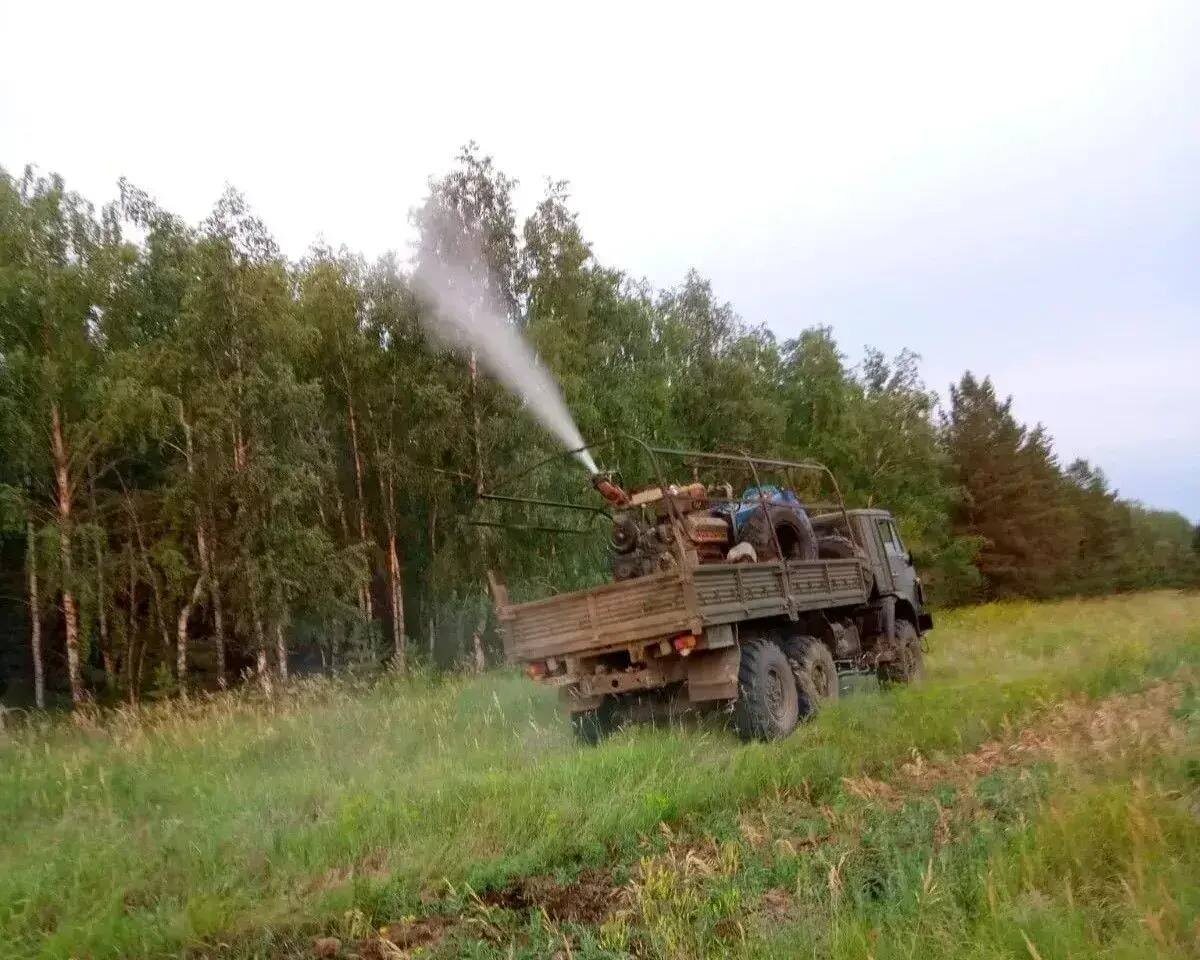    Минприроды Оренбургской области показало, как обрабатывают леса от пилильщика-ткача звездчатого и самих вредителей