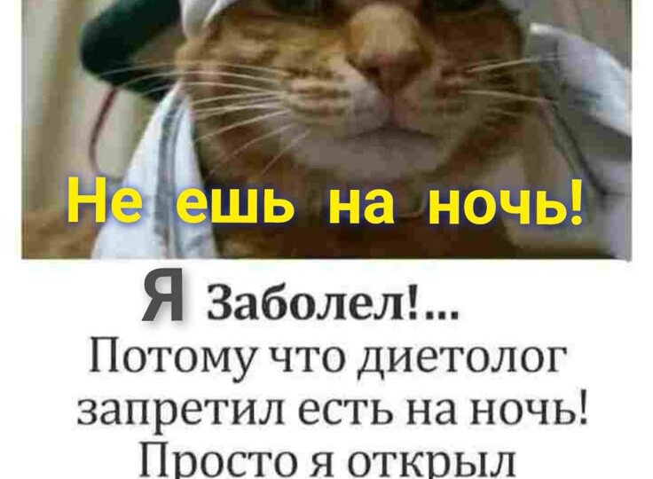Мемы с хвостатыми мурлыками