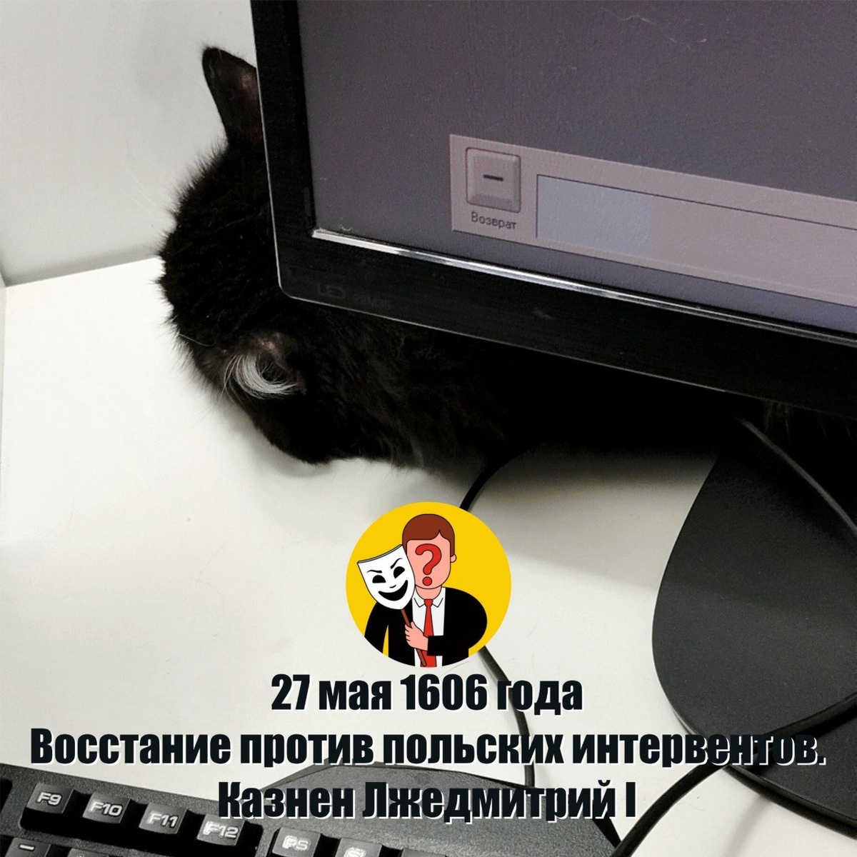 🐾 Комментарий Котейки Которого Не Пустили В Евросоюз, потому что он черный: