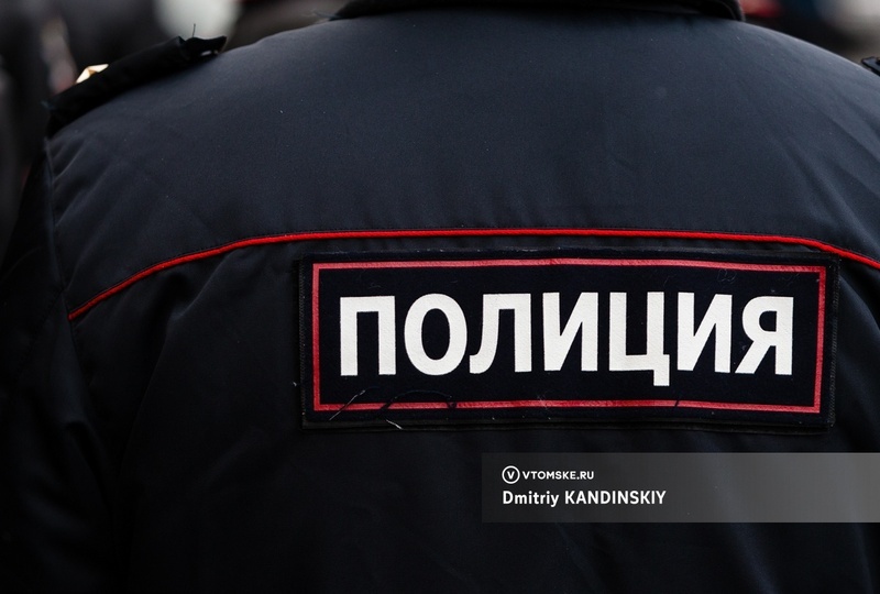 В Томском районе водитель сбил лежавшую во дворе собаку и уехал. Полиция начала проверку