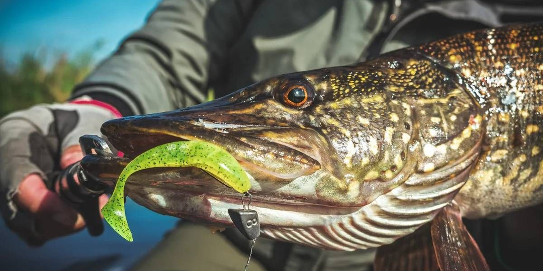 Сколько приманок нужно для рыбалки на озёрах и малых реках 🎣