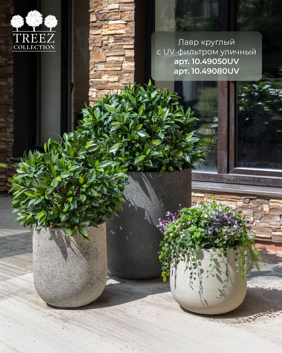 Кашпо и растения TREEZ Collection