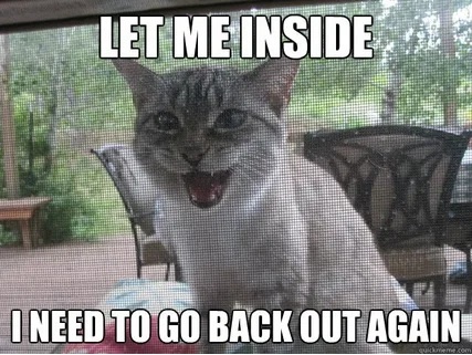 #phrasal_verb #фразовый_глагол #back_out