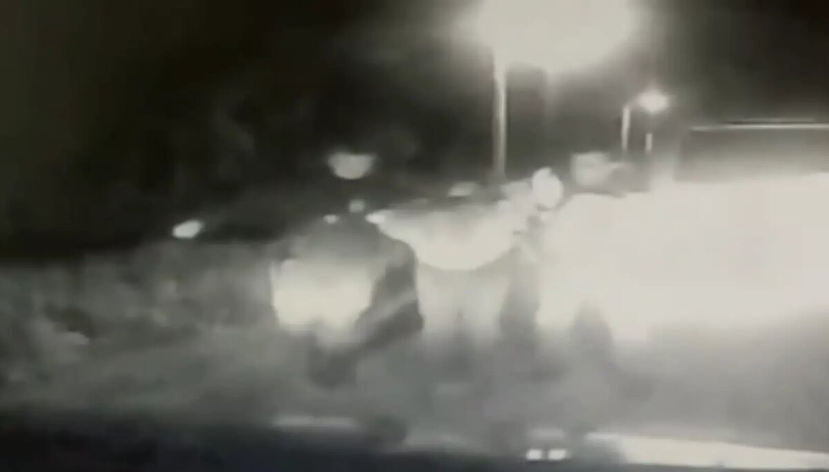    Фото: стоп-кадр видео от пресс-службы ГУ МВД России по Петербургу и Ленобласти