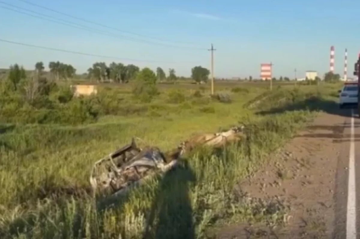    На трассе под Троицком водитель «ВАЗ-2114» врезался в столб и сгорел заживо