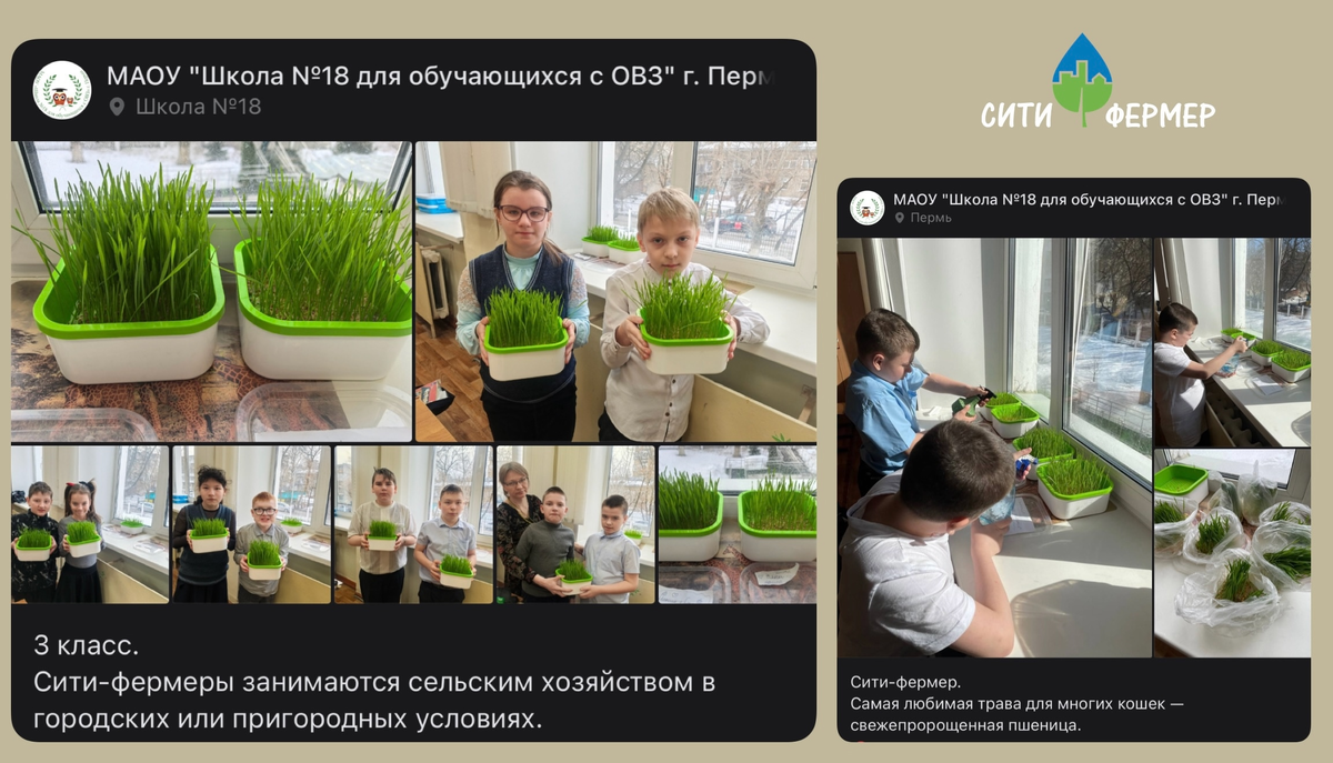 https://vk.com/wall-216414798_1004