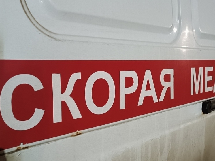     Фото: «МК Липецк»