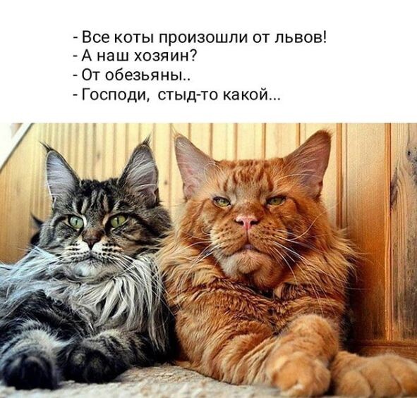 источник Яндекс-картинки