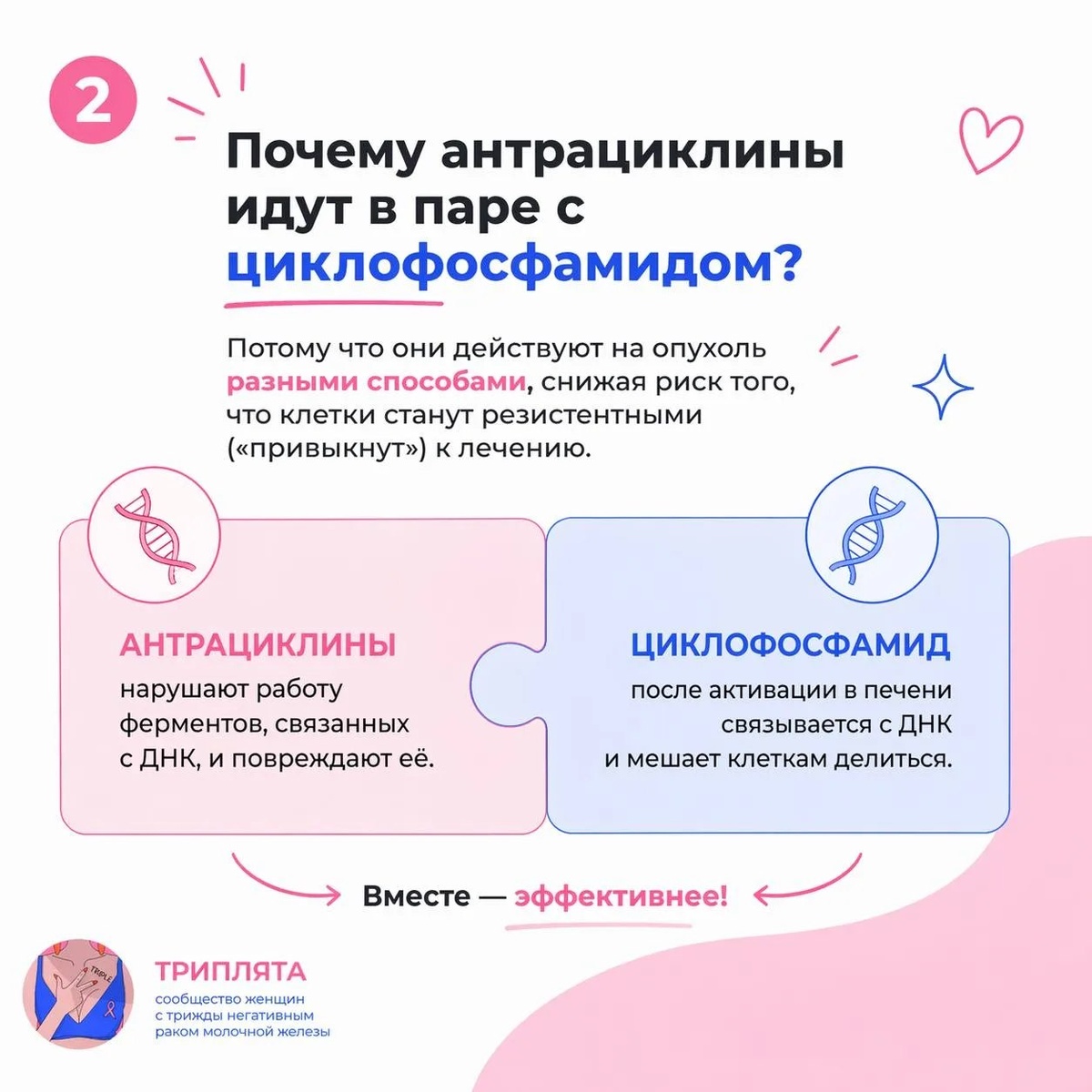 Почему антрациклины идут в паре с циклофосфамидом?