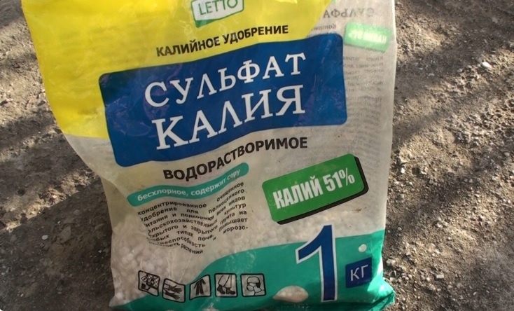 Чеснок в июне: Финальная подкормка для богатого урожая. Сульфат калия: Быстродействующее удобрение, содержит  51% калия и 18% серы. Фото автора