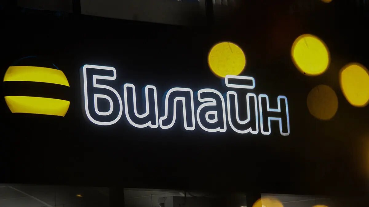    Источник: vm.ru/ Сергей Гуляев