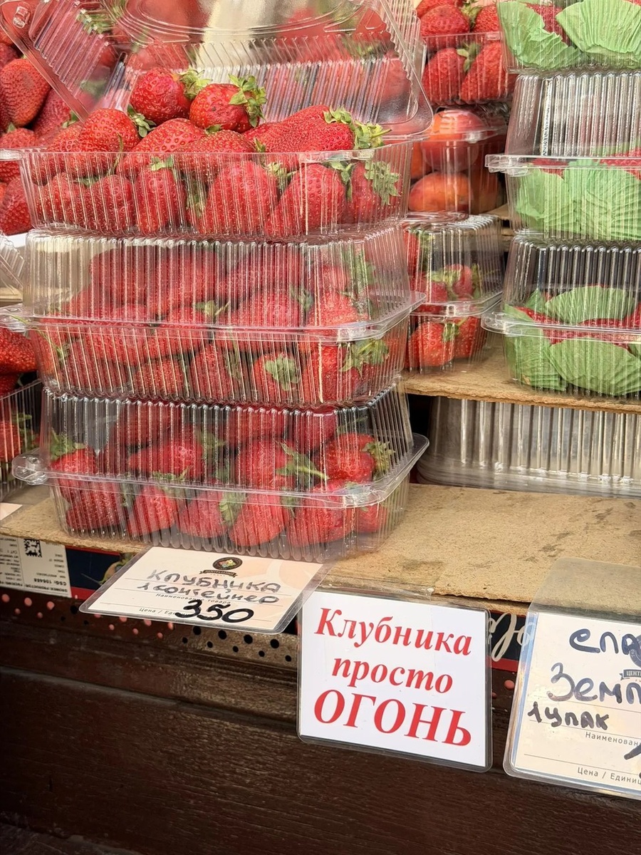    Поверим - но проверим! Ольга БУРДУКОВСКАЯ