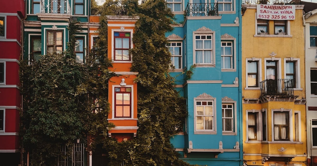    Фото: Pexels, @Mehmet Turgut Kirkgoz