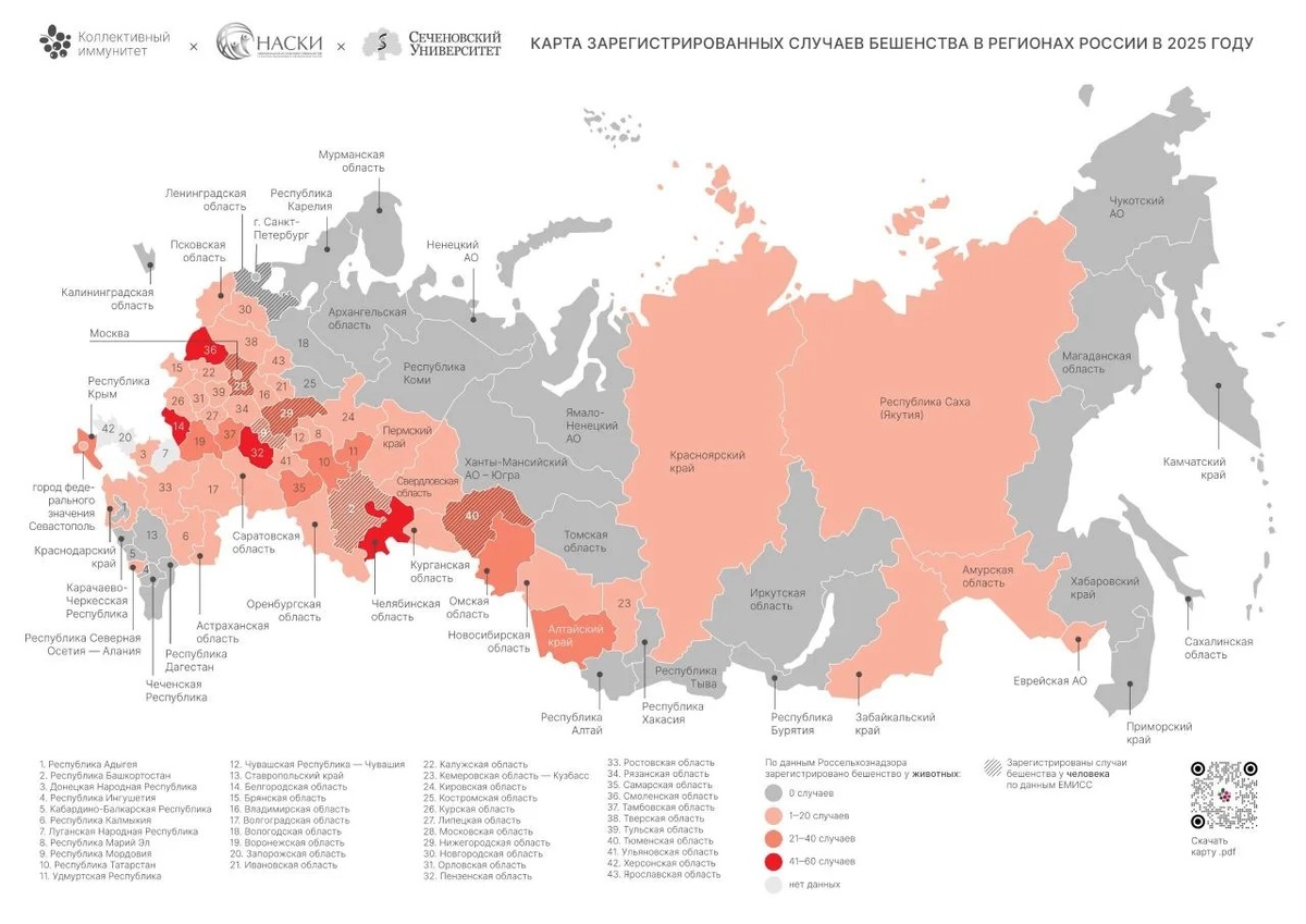 источник: мах-канал главного эпидемиолога РФ. карта в пдф по ссылке ниже: https://disk.360.yandex.ru/d/FTxIbSPhucThpA
