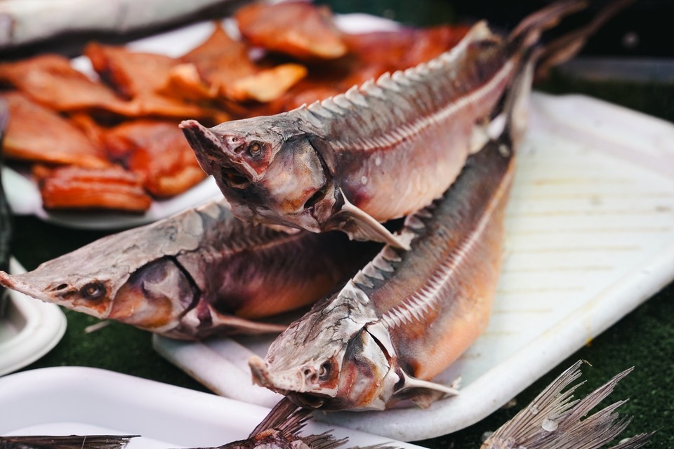    На Центральном рынке Ростова изъяли более 74 кг рыбной продукции без документов и с нарушением норм. Светлана МАКОВЕЕВА