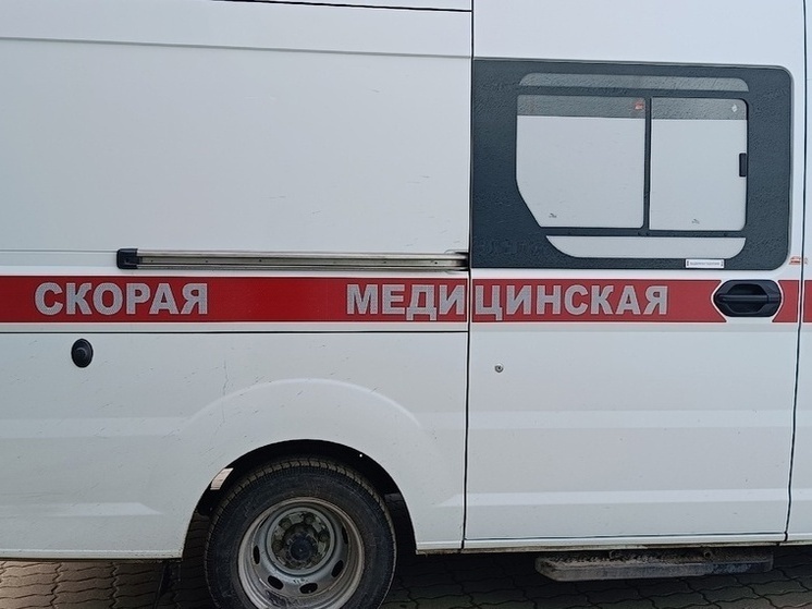   Ева Медовая
