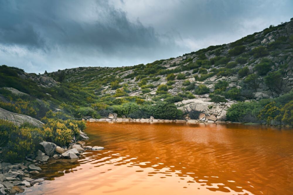 Железистая вода в открытом источнике