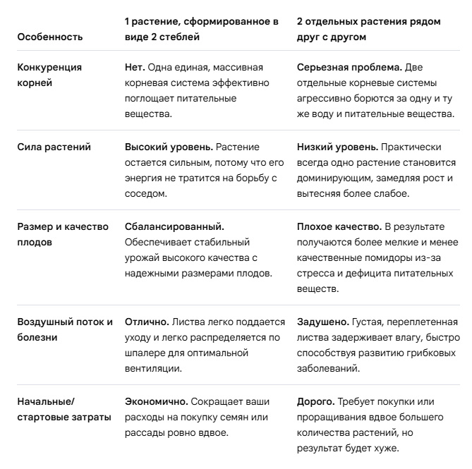 Всегда вспоминайте эту таблицу, когда захотите воткнуть два корня томата в одну лунку. 