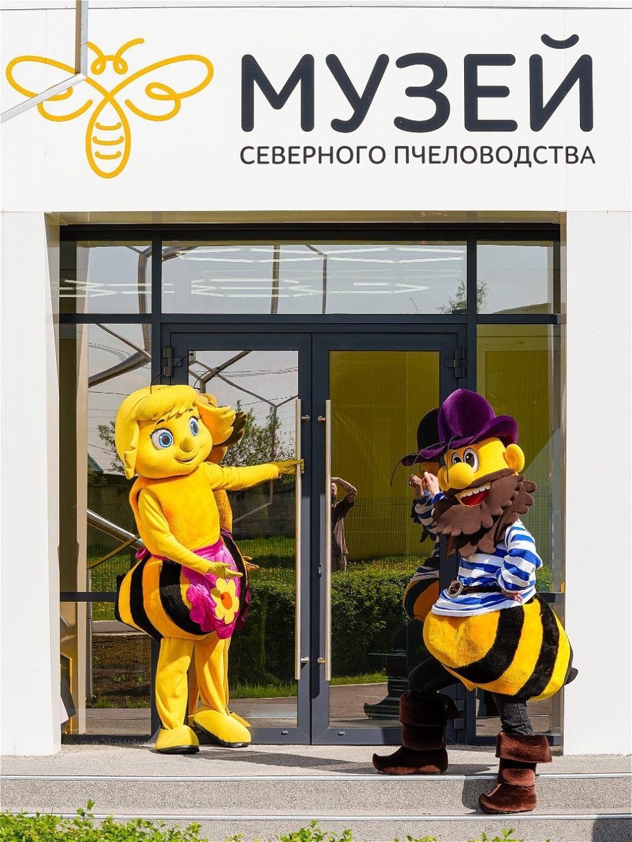 Тенториум встречает гостей