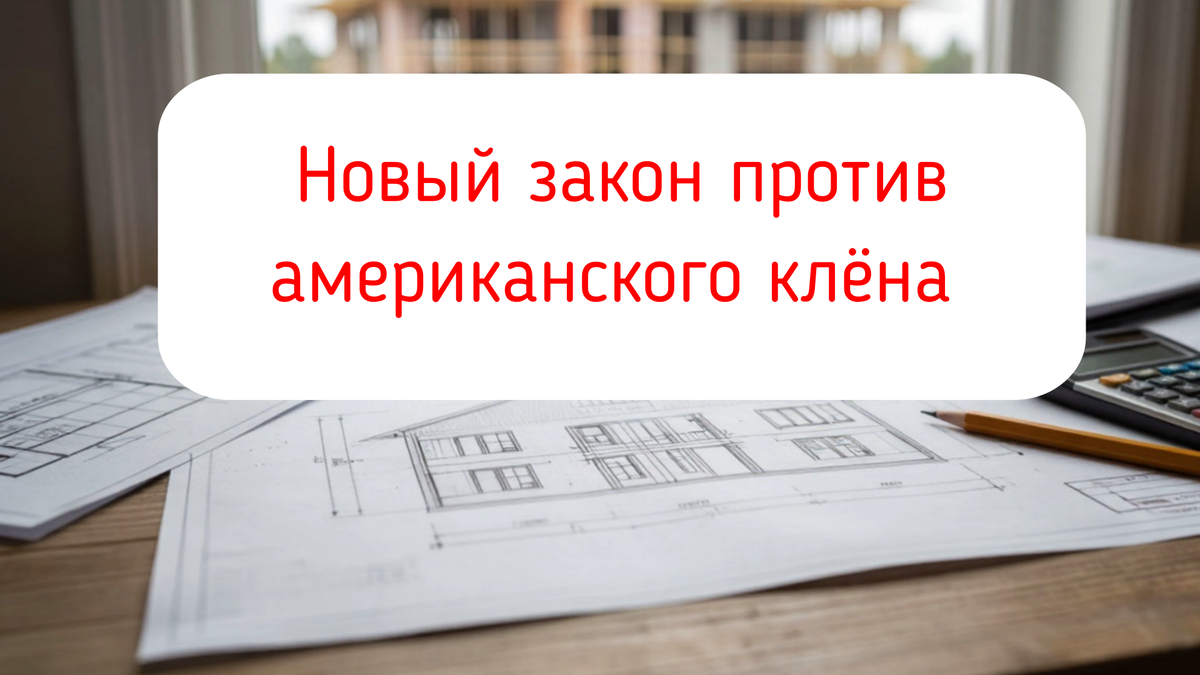 Новый закон против американского клёна 
