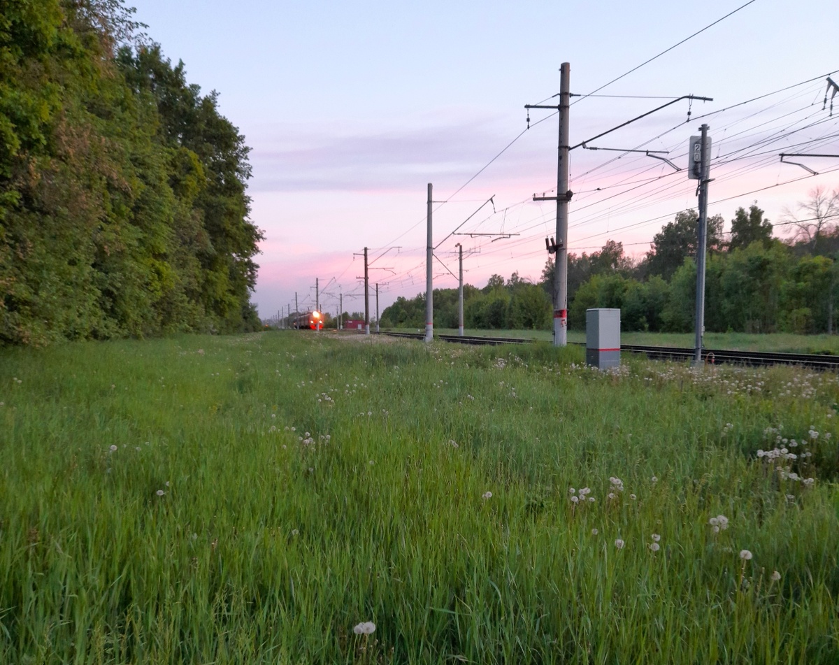 С работы приезжает поздно. Хорошо, что день вырос