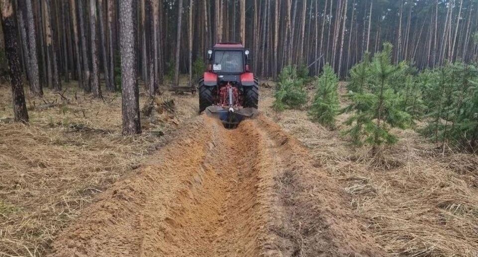    Комитет лесного хозяйства Московской области